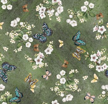 1296480-200223小花蝴蝶