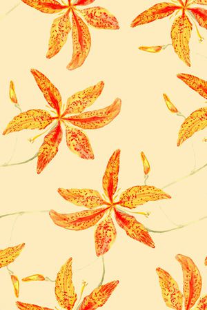 香蕉花卉印花华亿平台图片