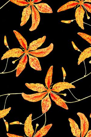 香蕉花卉印花华亿平台图片