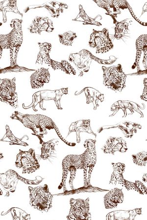 动物印花华亿平台图片