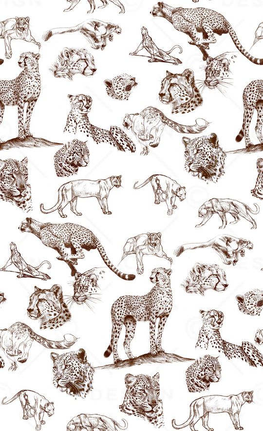 动物印花华亿平台图片