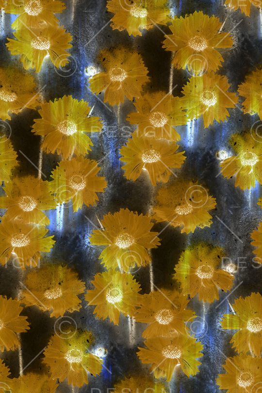 大牌风印花华亿平台图片