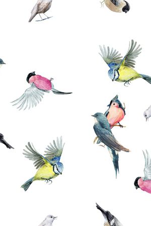 鸟印花华亿平台图片