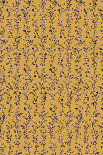 1297078-pat-20橘底