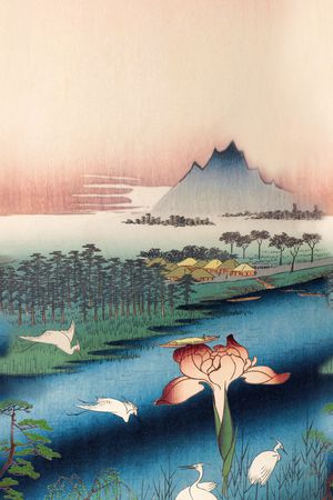 女装定位花印花华亿平台图片