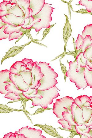 康乃馨印花华亿平台图片