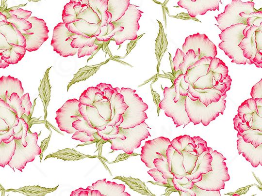 康乃馨印花华亿平台图片