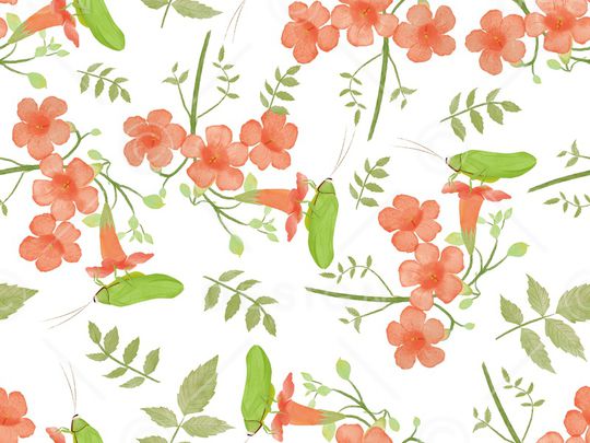 可爱印花华亿平台图片