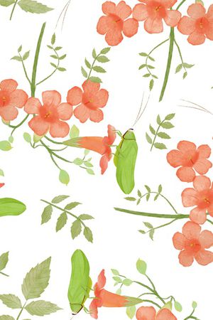 可爱印花华亿平台图片