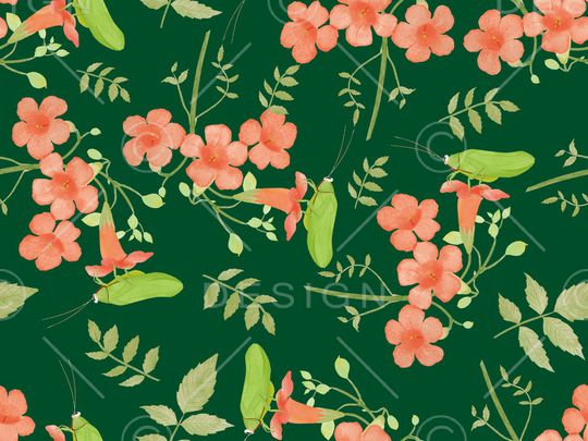 可爱印花华亿平台图片