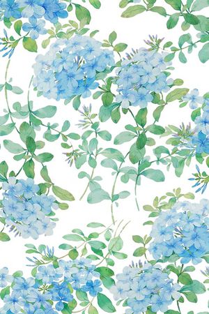 紫藤花印花华亿平台图片