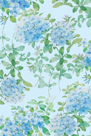 紫藤花印花华亿平台图片