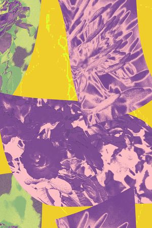 线条画印花华亿平台图片