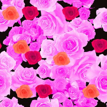 1299715-202002228-2-1