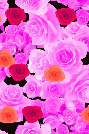 女装印花华亿平台图片