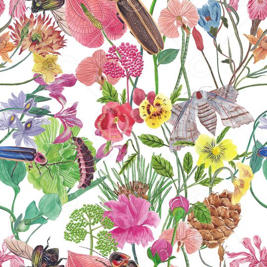 鸟/昆虫印花华亿平台图片