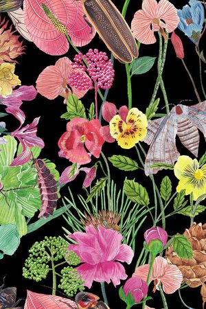 鸟/昆虫印花华亿平台图片