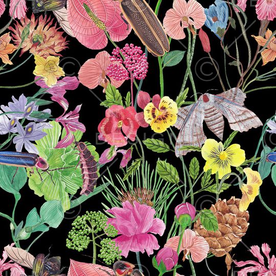 鸟/昆虫印花华亿平台图片