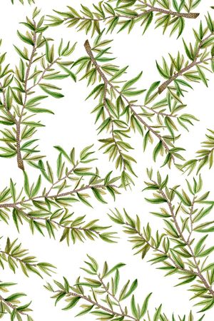 简约印花华亿平台图片