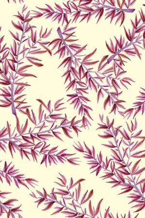 简约印花华亿平台图片