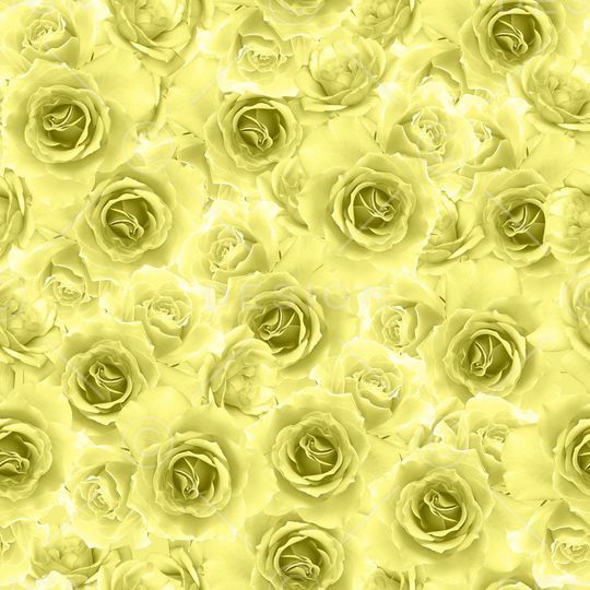 玫瑰花印花华亿平台图片