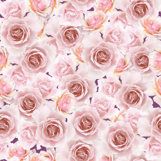 玫瑰花印花华亿平台图片