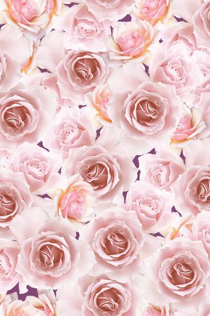 玫瑰花印花华亿平台图片