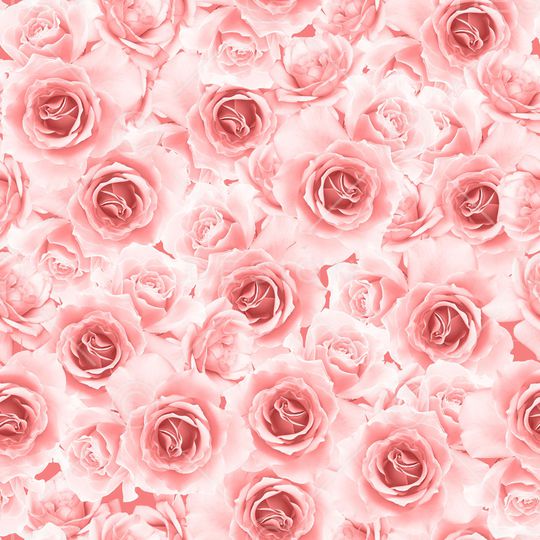 玫瑰花印花华亿平台图片