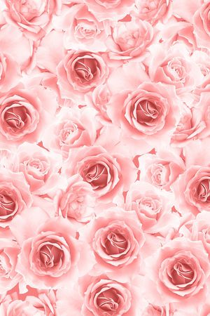 玫瑰花印花华亿平台图片