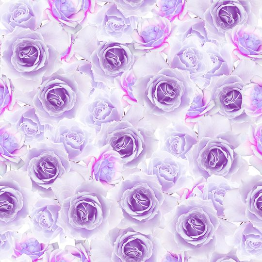 玫瑰花印花华亿平台图片