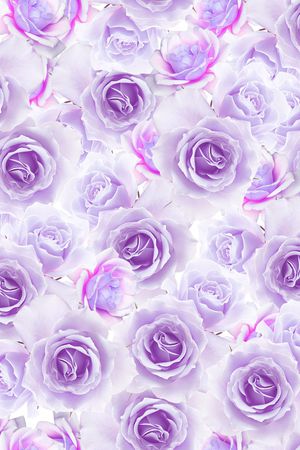 玫瑰花印花华亿平台图片