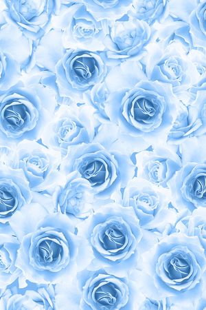 玫瑰花印花华亿平台图片