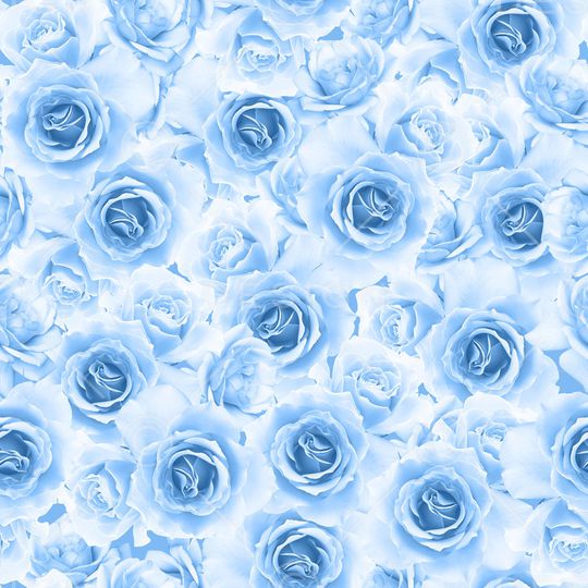 玫瑰花印花华亿平台图片