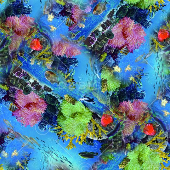 热带鱼印花华亿平台图片