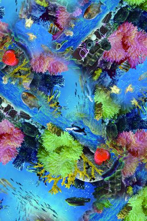 热带鱼印花华亿平台图片