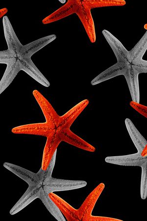 简约印花华亿平台图片