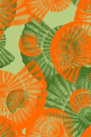 男装印花华亿平台图片