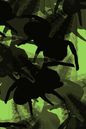 蜘蛛印花华亿平台图片