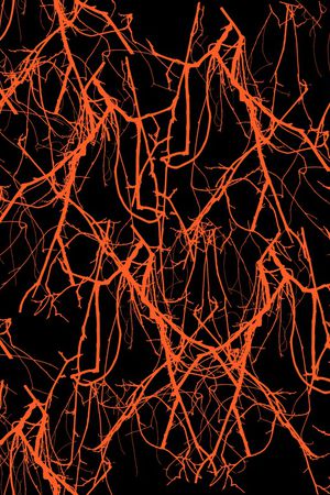 纹理印花华亿平台图片