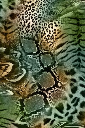 动物纹印花华亿平台图片