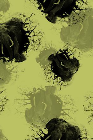 大象印花华亿平台图片