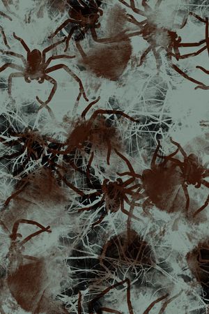 蜘蛛印花华亿平台图片