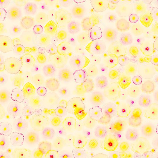 水彩印花华亿平台图片