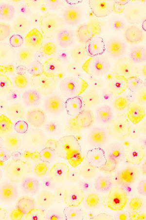 水彩印花华亿平台图片