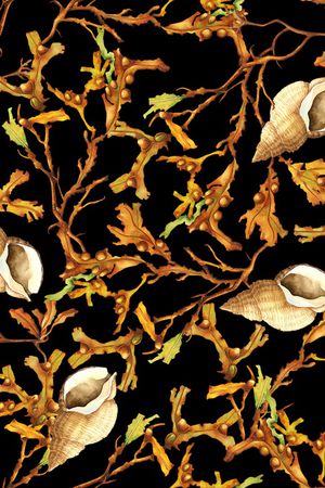 大牌风印花华亿平台图片