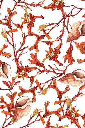 大牌风印花华亿平台图片