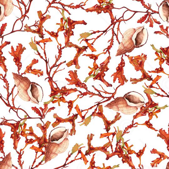 大牌风印花华亿平台图片