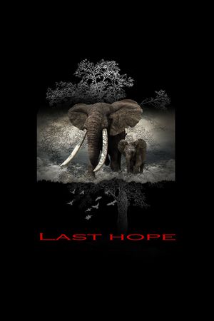 大象印花华亿平台图片