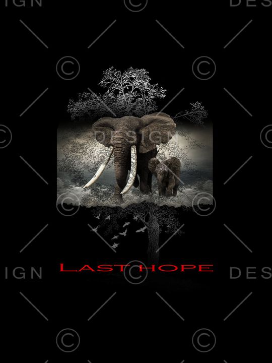 大象印花华亿平台图片