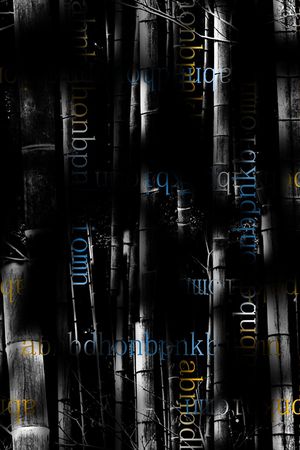 字母印花华亿平台图片